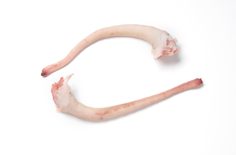 Pork-Whole-Tail-frozen_8679.png
