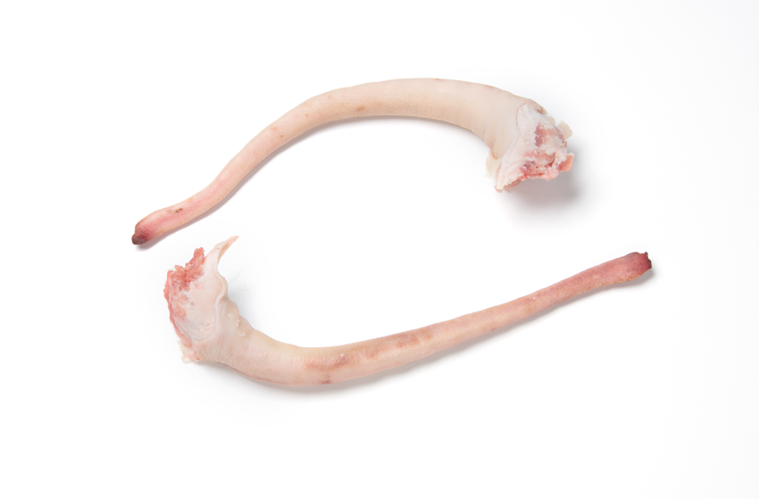 Pork-Whole-Tail-frozen_8679.png