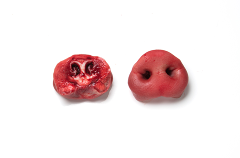 Pork-Whole-Snout-frozen_8730.png