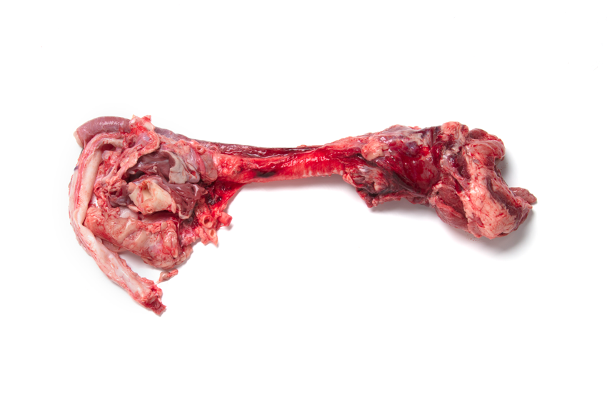Pork-Three-Pipes-(semi-finished)-frozen_8706.png