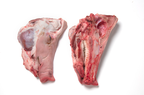 Pork-Head-1/2_8663.png