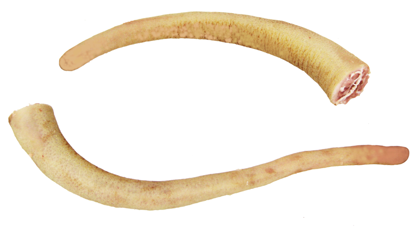 Atria-10kg-Pork-Tails-frozen_424.png