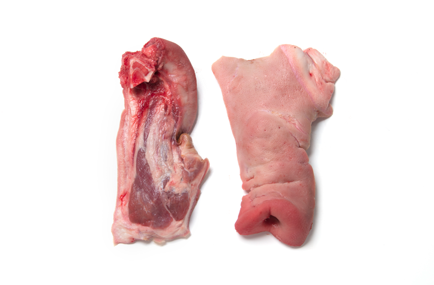 Pork-Snout-frozen_8704.png