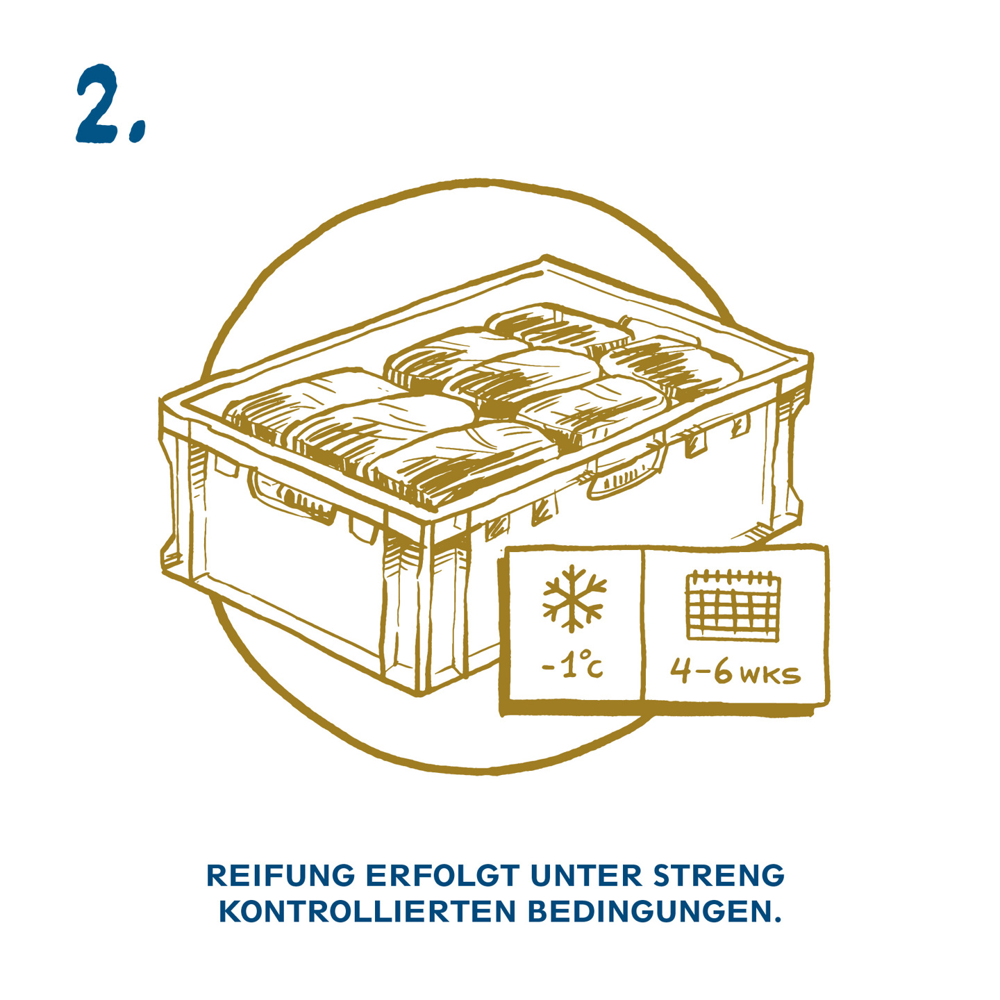takuumurea-kuvitus_instagram_2_DE.jpg